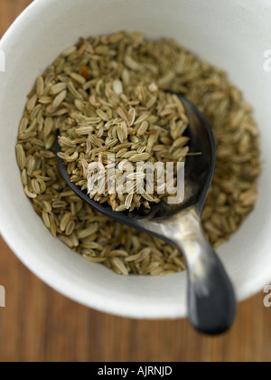 Dill seeds - high end Hasselblad 61mb digital file Stock Photo