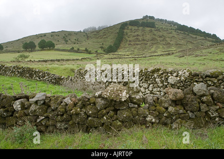 Spain, Canary Islands, El Hierro, The plateau Meseta de Nisdafe is characterized by grassland and pastures Stock Photo