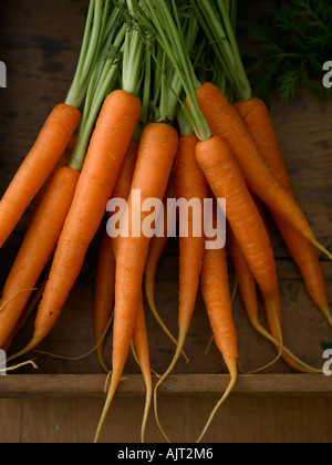 Carrots with stalks and leaves in wooden tray - high end Hasselblad 61mb digital image Stock Photo