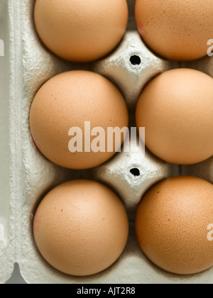 Carton of eggs - high end Hasselblad 61mb digital image Stock Photo