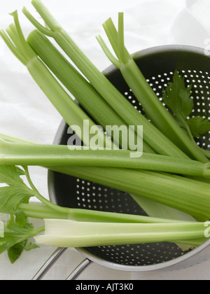 Celery stalks - high end Hasselblad 61mb digital image Stock Photo