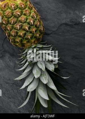 Pineapple - high end Hasselblad 61mb digital image Stock Photo
