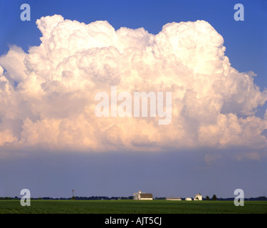 Cumulus clouds over farm in Illinois LaSalle County Ilinois  USA, by Willard Clay/Dembinsky Photo Assoc Stock Photo