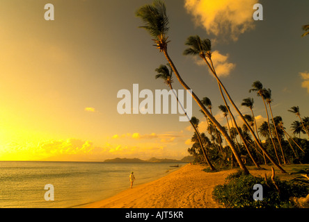 Pinneys Beach, Nevis, with idyllic tropical setting of palm trees and placid calm water, Pinney's Beach, Nevis, idyllic sunset Stock Photo