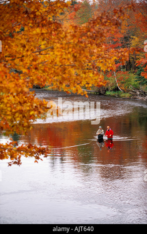 CANADA Nova Scotia Cabot trail fly fisherman fishing for Atlantic Salmon in the Margaree River with atumn colors Stock Photo