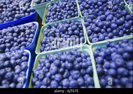 Close up of blueberries Stock Photo