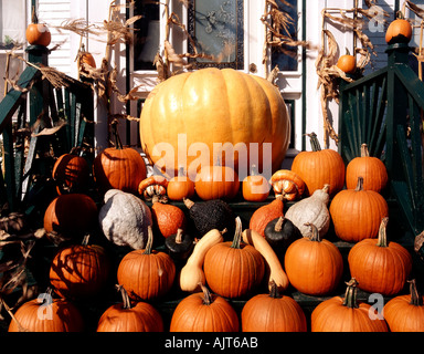 CANADA Nova Scotia Halloween assortment of large pumpkins stacked on house porch Howard Dills pumpkin farm Stock Photo