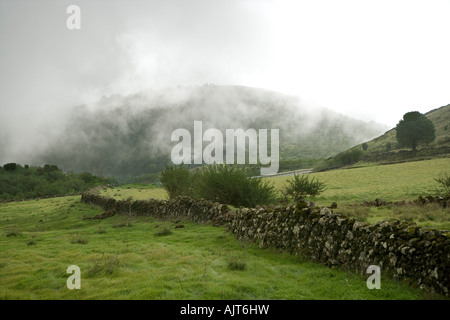 Spain, Canary Islands, El Hierro, The plateau Meseta de Nisdafe is characterized by grassland and pastures Stock Photo
