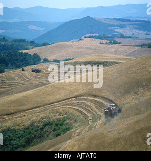 Fiat tilting table combine harvesting wheat on steep slopes in Tuscany Italy Stock Photo