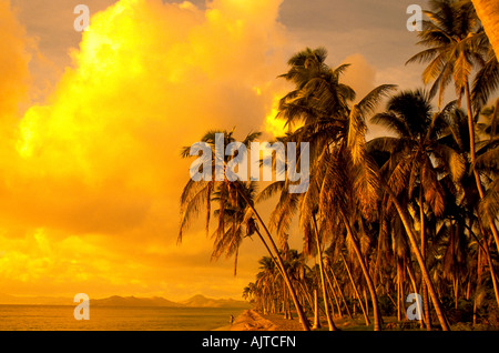 Pinney's Beach, Nevis, with idyllic tropical setting of palm trees and placid calm water, Pinney's Beach, Nevis, idyllic tropica Stock Photo