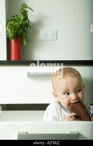 Baby in drawer, biting on wooden spoon, making funny face Stock Photo