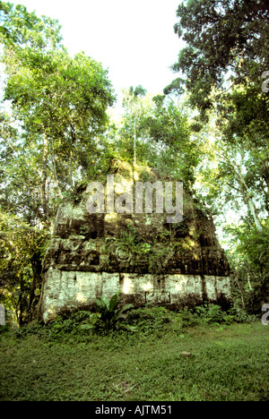 Guatemala Peten Tikal Mayan Site South Acropolis Jungle covered temple Stock Photo