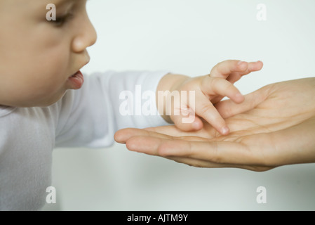 Baby inspecting mother's palm, close-up, cropped view Stock Photo