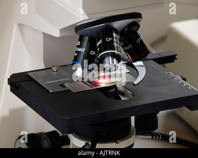 Microscope closeup with lens turret and rose flower leaf Stock Photo