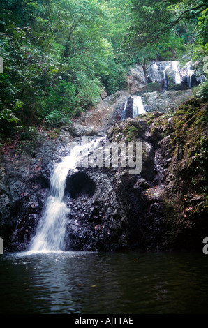 Argyll Falls Tobago Rainforest Stock Photo