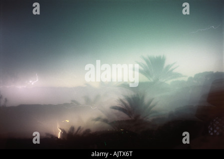 Lightning and palm tree, double exposure Stock Photo
