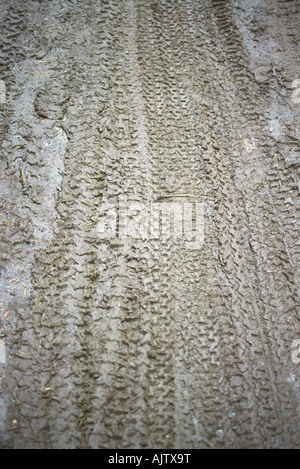 Bike tracks in mud Stock Photo