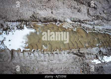 Puddle in tire track Stock Photo