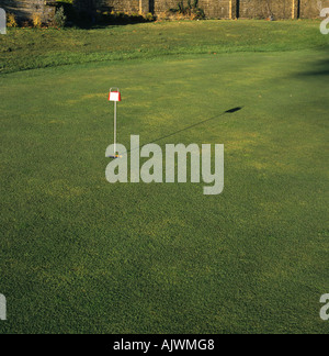 Yellow patch Rhizoctonia cerealis on turf grass Agrostis sp Stock Photo ...