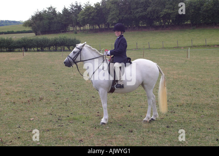 Eriskay Pony and Rider with Red Rosette Stock Photo