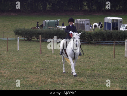 Eriskay Pony and Rider at a Show Stock Photo