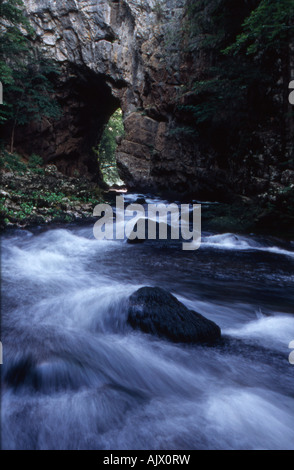 Stream Rak flowing through Great Natural Bridge in Rakov Škocjan Slovenia Stock Photo