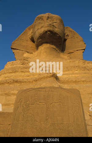 Egypt, Giza, The Sphinx, Dream Stele Stock Photo