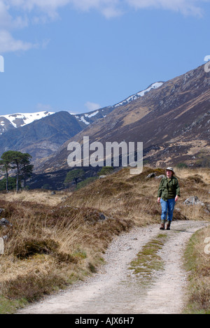 walker in glen affric national nature reserve highlands scotland Stock Photo