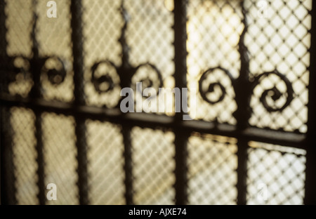 Decorative wrought iron gate and wire mesh Stock Photo