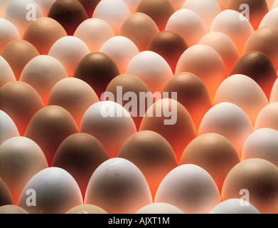 Food still life close-up of fresh chickens' eggs. Stock Photo