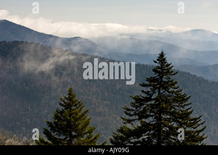 Frost-coated trees near Clingman's Dome, Great Smoky Mountains National Park, Tennessee, USA Stock Photo