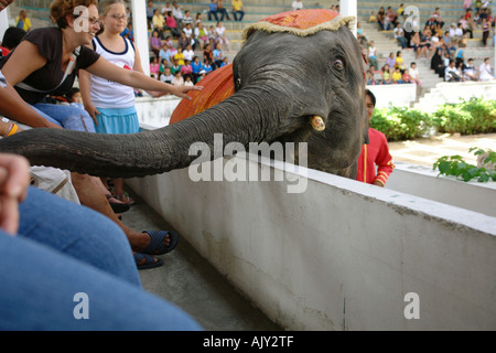 Samutprakarn Thailand 2006 Stock Photo