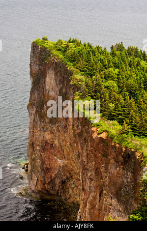 Pic d'Aurore- Cliff detail from high viewpoint, Percé, QC Quebec, Canada Stock Photo