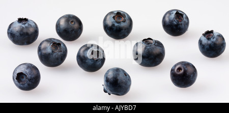 BLUEBERRIES Stock Photo