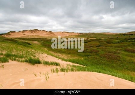 Parabolic dunes, near St. Peters, PE/PEI Prince Edward Island, Canada Stock Photo