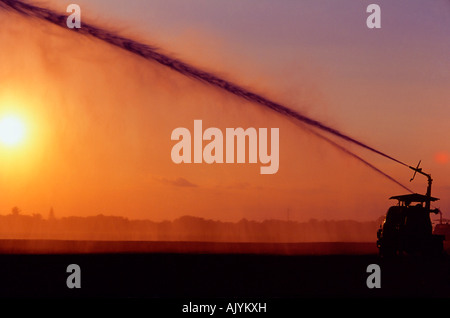 Crops in field,tractor in fields, crops in rows, farm worker. Stock Photo