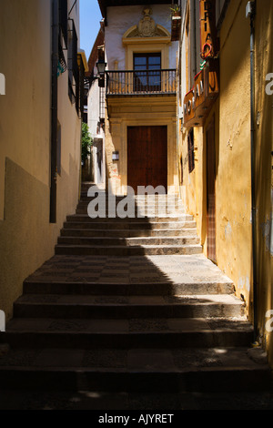 Steps in a narrow alleyway in the Albayzin Granada Spain Stock Photo