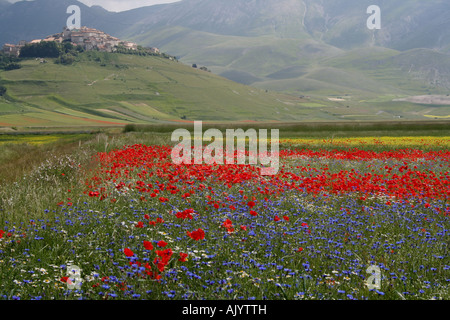 Township of Castelluccio di Norcia, Umbria, Italy overlooking the Piano ...