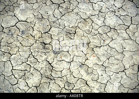 A detail of sun cracked earth in a dried up waterhole on a cattlle ranch in southern Arizona Stock Photo