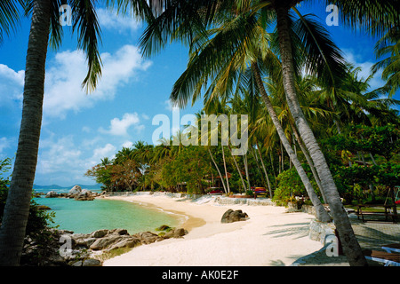 A classic tropical beach view - palm trees, silver sand, and blue green sea. Koh Samui, Thailand Stock Photo