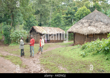 Farm house in the coffee growing area of Negele, Yirgacheffe, Ethiopia Stock Photo