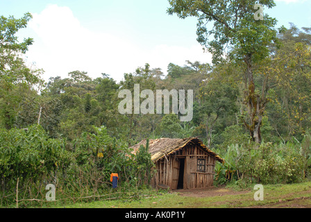 Farm house in the coffee growing area of Negele, Yirgacheffe, Ethiopia Stock Photo