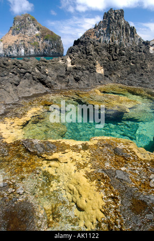 Coral and tide pool with Dois Irmaos in the background Fernando de Noronha national marine sanctuary Pernambuco Brazil Stock Photo