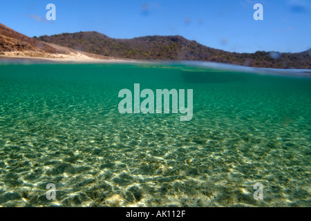 Sandy bottom at Atalaia beach Fernando de Noronha national marine sanctuary Pernambuco Brazil S Atlantic  Stock Photo