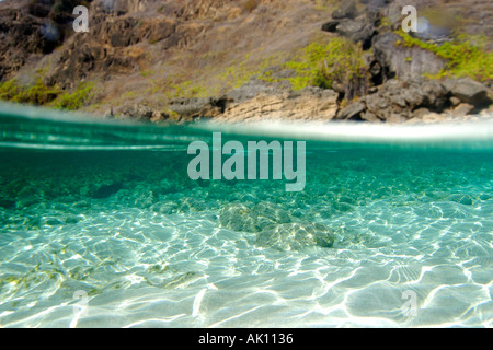 Sandy bottom at Atalaia beach Fernando de Noronha national marine sanctuary Pernambuco Brazil S Atlantic  Stock Photo