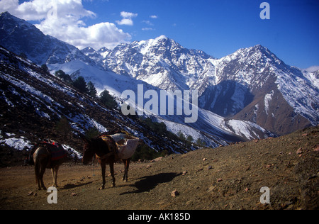 Trekking in the Atlas Mountains winter near Imlil and the Jebel Toubkal and Jebel Oukaimeden mountains Morocco Africaa Stock Photo