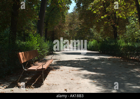 Tree lined path in the Parque del Buen Retiro, Madrid, Spain Stock Photo