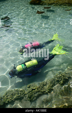 Couple in scuba gear in stingray pool Discovery Cove Orlando FL Stock Photo