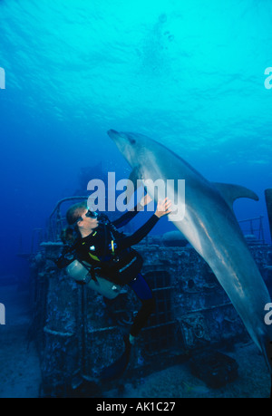 Cayman Brac woman interacts with Spot the resident male dolphin near the Frigate Wreck Stock Photo