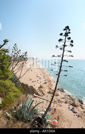 View over the beach in Calella, Costa Brava, Catalunya, Spain Stock Photo